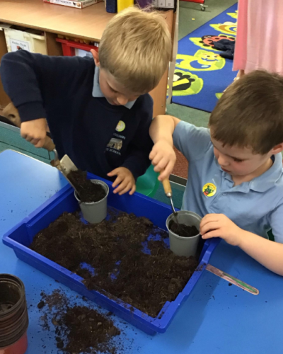 Science in Squirrel Class